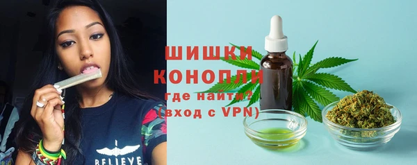 соль курить ск Новозыбков