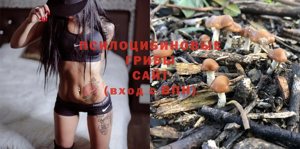 соль курить ск Новозыбков