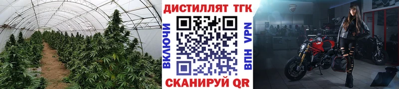 где купить наркоту  Вязьма  ТГК вейп с тгк 