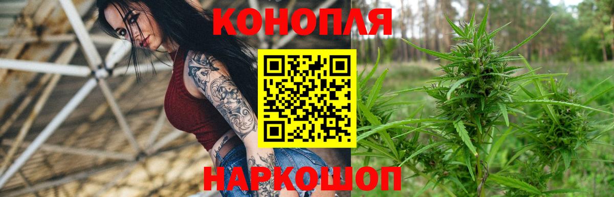 Конопля OG Kush  Марихуана семена  Вязьма  Марихуана LSD WEED  МАРИХУАНА индика 